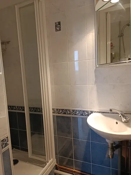 La salle d'eau avec douche